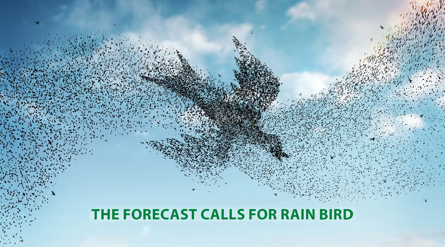 Adfarm Cs Rainbird 01 1440x800